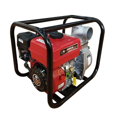 Agriculture Hand Spray Pump