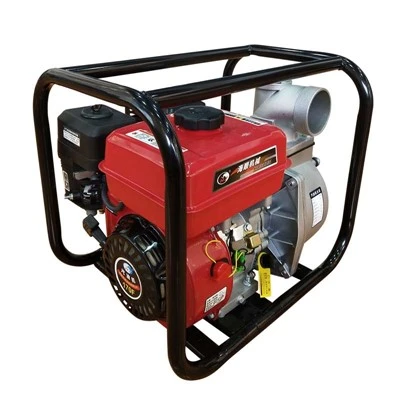 Pump for Mountain Water Delivery
