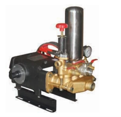 Power Sprayer With Stainless Plunger